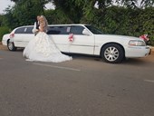 לימוזינה לחתונה